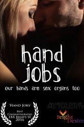 handjobsboxcover