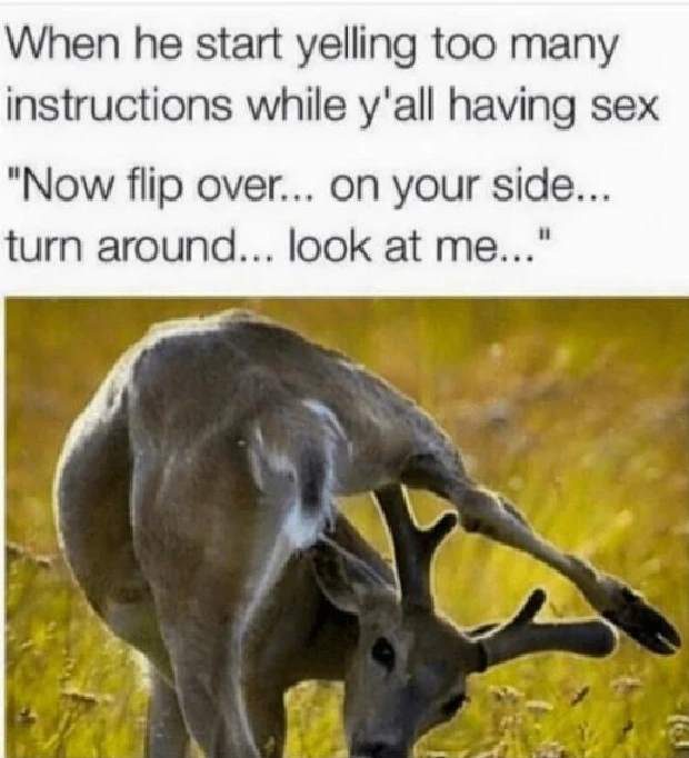 Sex memes: When he's yelling too many instructions. Image shows a deer all tangled up showing it's butt