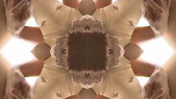 kaleidogasm3boxcover