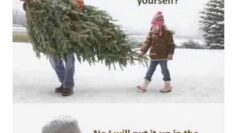 sexychristmas_putitup