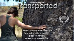 transportedboxcover_censored1200