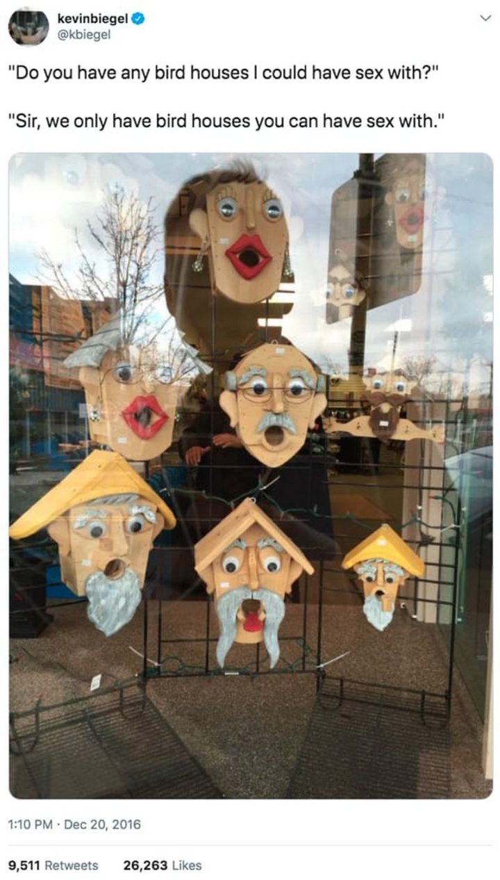 Do have any birdhouses I could have sex with? Sir, we only have birdhouses you can have sex with (birdhouses have open mouths)