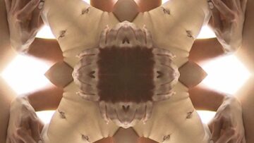 kaleidogasm3boxcover