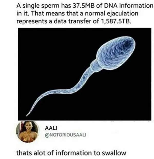 Info on how much DNA information a sperm contains and how much data is transferred in a normal ejaculation
That's a lot of information to swallow